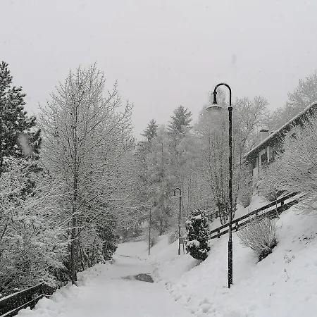 Bellavista *